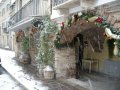 2008_galleria1_052