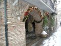 2008_galleria1_053