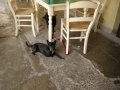 2008_galleria2_088