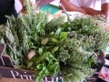 2008_galleria3_064
