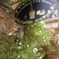 2008_galleria4_030