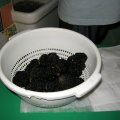2008_galleria4_051