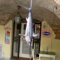 2008_galleria5_013