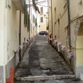 2008_galleria5_061