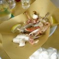 2008_galleria5_070