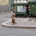 DSCN0570