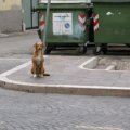 DSCN0571