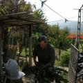 DSCN0657