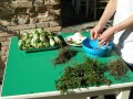 Mazzarelle-Teramane-02